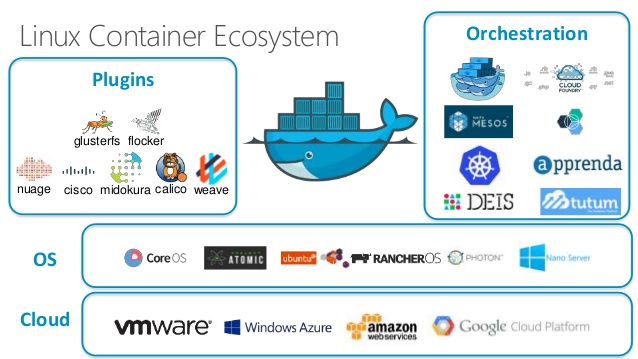 Linux Container Ecosystem
