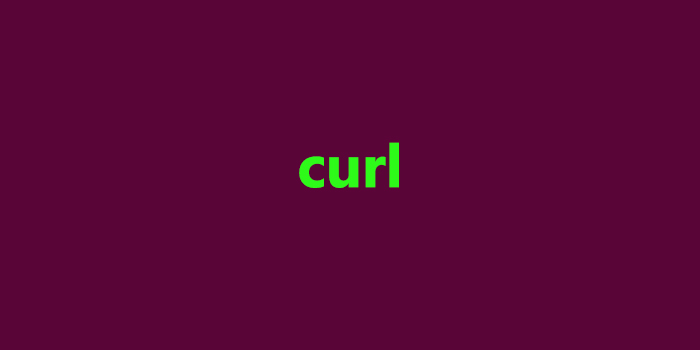 curl commands examples
