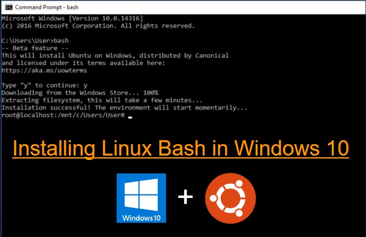 How to enable the Linux / Bash subsystem in Windows 10