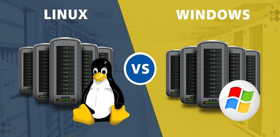 Windows or Linux VPS