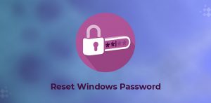 reset windows VPS password
