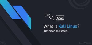 Kali Linux Definition