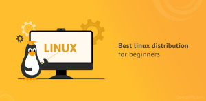 best linux distribution for beginners