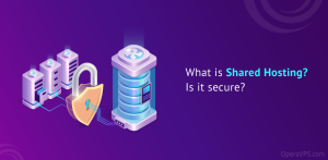 What is Shared Hosting Is it secure