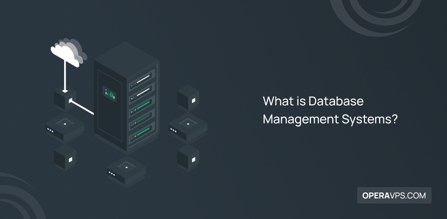 what is database management systems