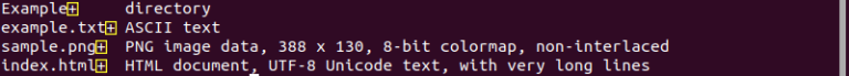 Use Linux File Command to Determine File Type[with Examples]