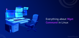 Wget Command in Linux