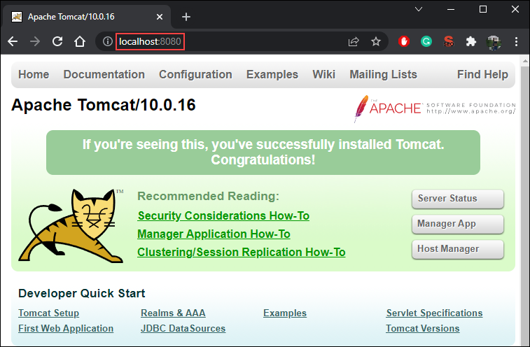 access the Tomcat welcome page