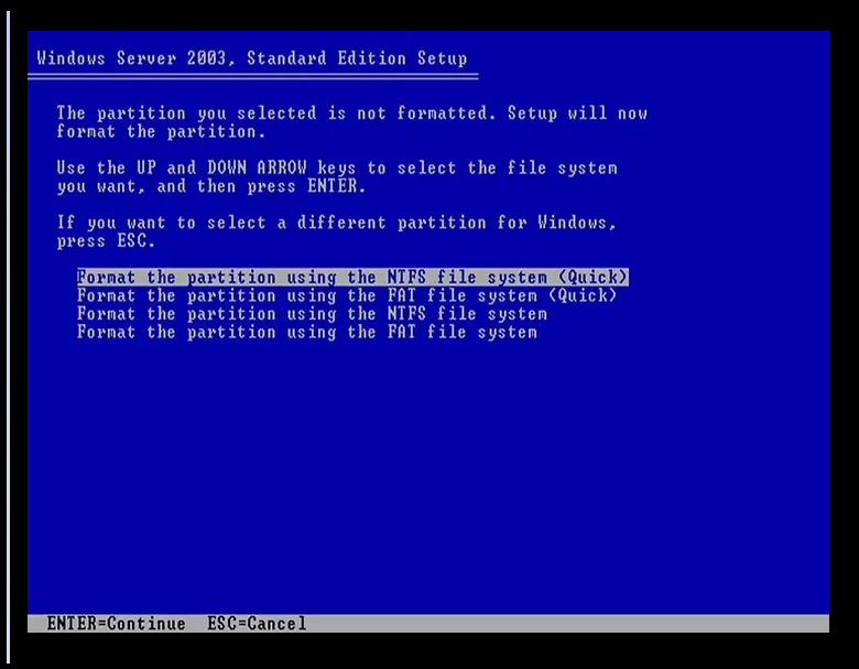 Format the Newly Partition on Windows Server