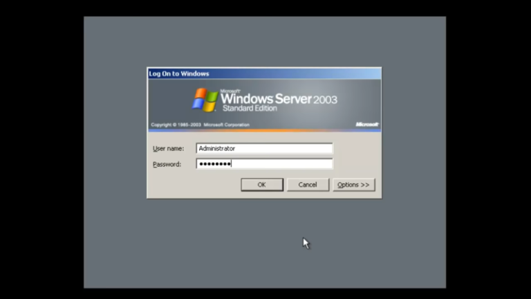 Install Microsoft Windows Server 2003 With Screenshot 8920