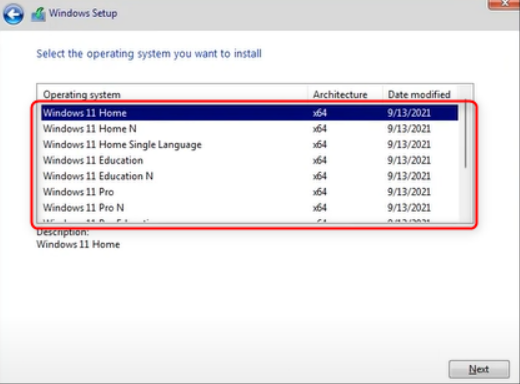 Which Operating System to choose on Window 11