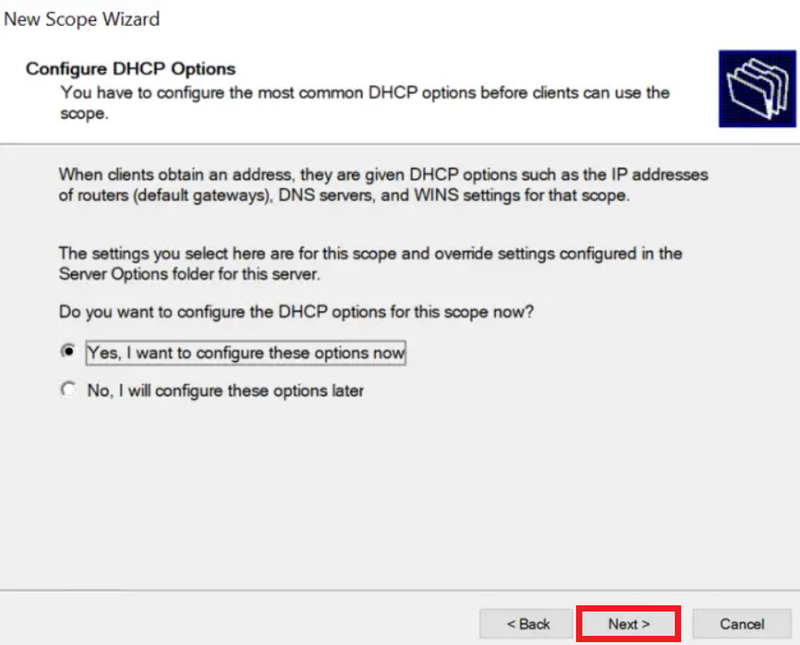 If you are satisfied with the DHCP Options as they are shown on the page, simply click "Next" on this page. DHCP Options 