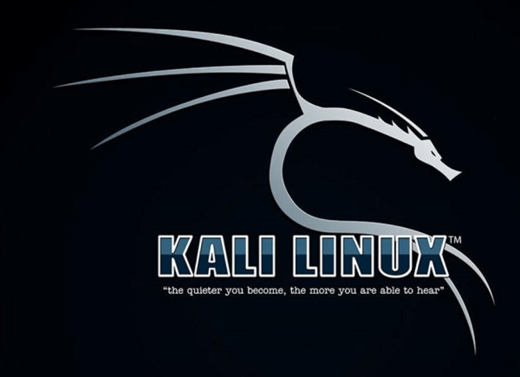 Is Kali Linux better than Ubuntu