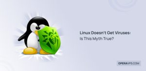 Linux Doesn't Get Viruses Is it True