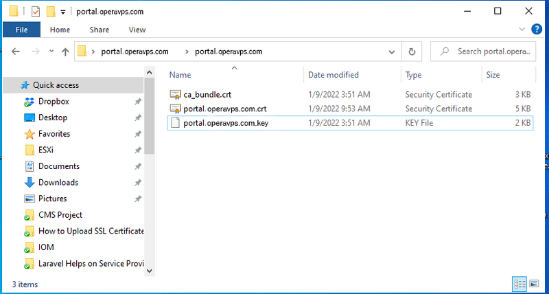 Renamed Certificate Files (Private key and Certificate file)