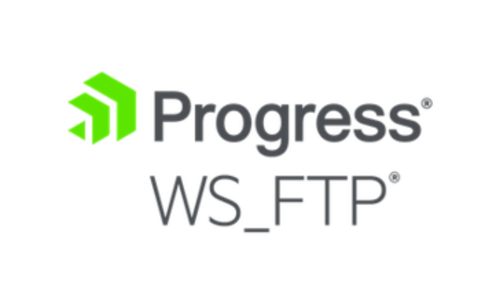 WS_FTP Professional FTp Client