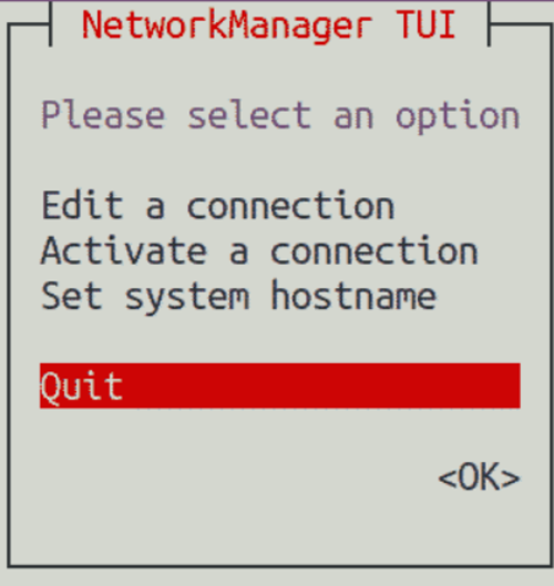 Quit the nmtui tool