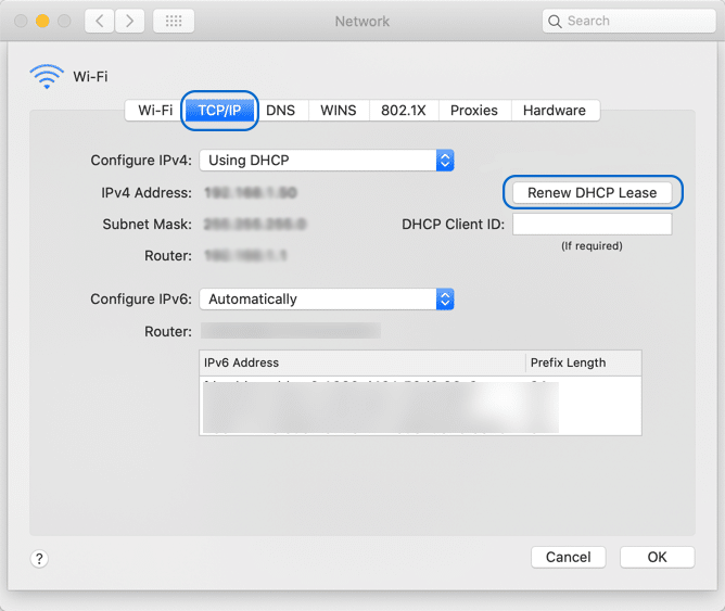 Renewing the IP Address on macOS