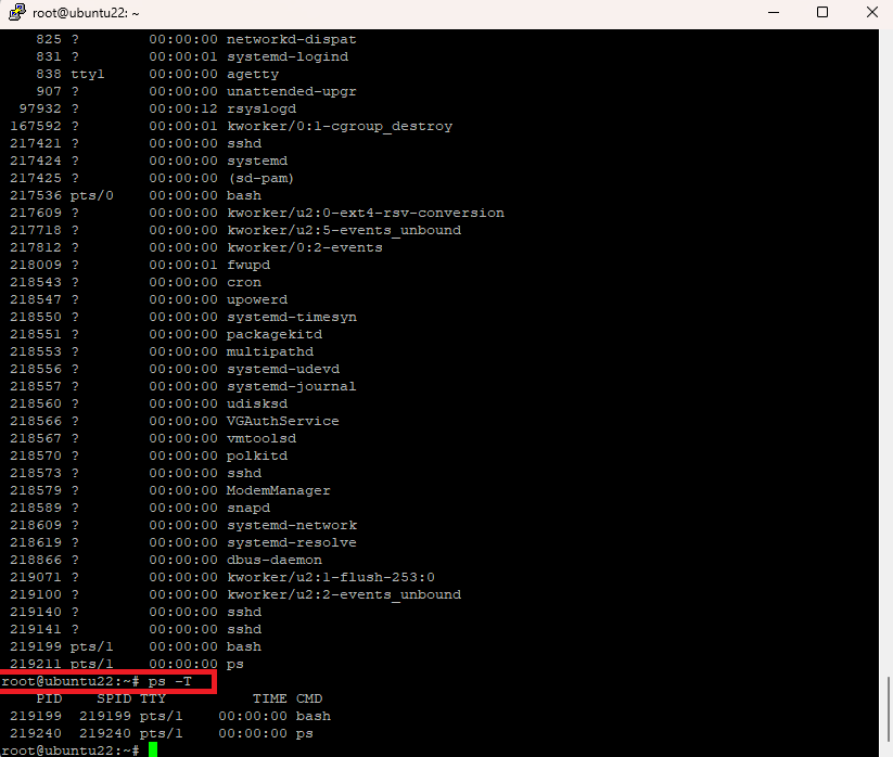 View processes associated with the terminal by ps command