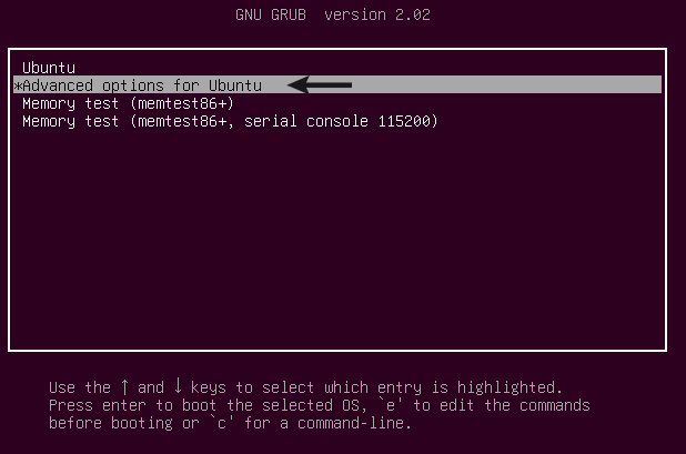 in the boot menu Select the Advanced options for Ubuntu to repair root file system