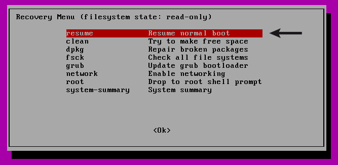 select the resume option to boot up Linux system after fixing root file system issues