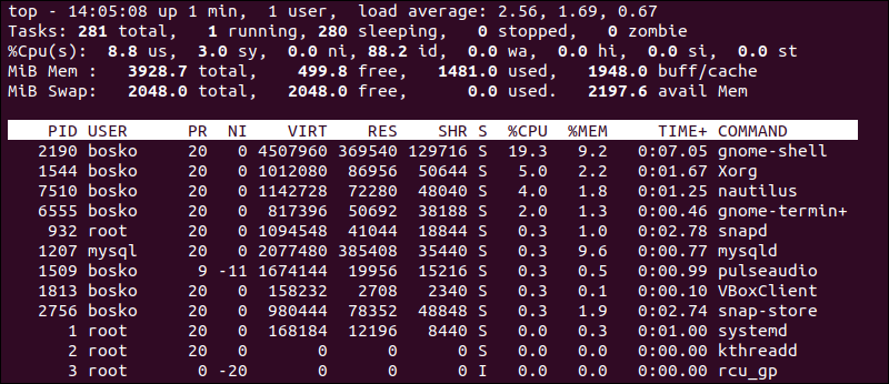 top Command Output