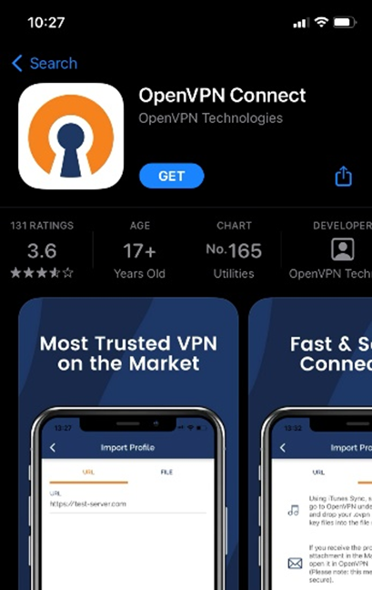 Install OpenVPN connect on iOS device