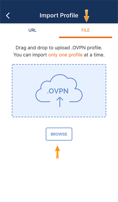Import OpenVPN Configuration Files on Windows