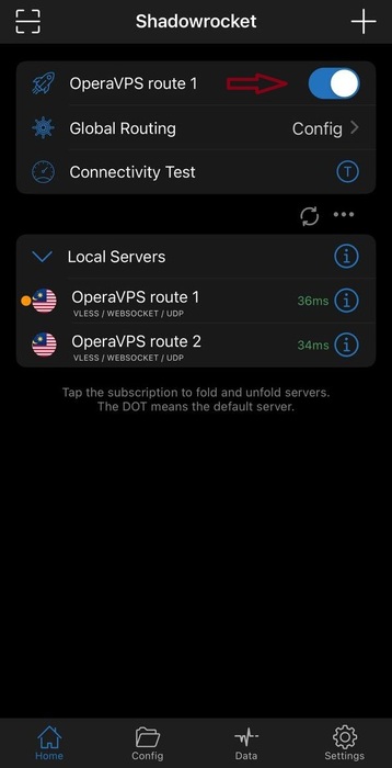 How to Connect to V2Ray on iOS