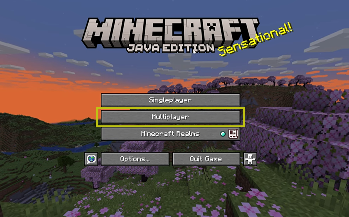 click on "Multiplayer" menu on Minecraft client