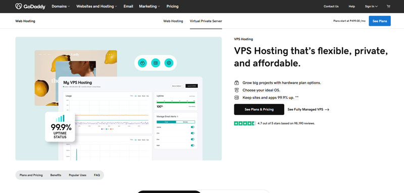 GoDaddy VPS hosting page