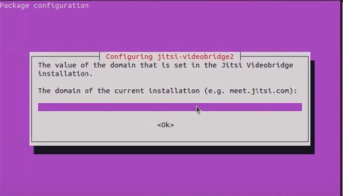 Enter your domain name for installing Jitsi on Ubuntu VPS