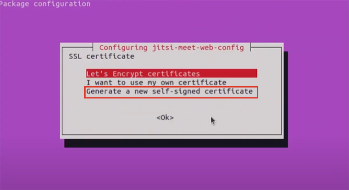 During Jitsi installation on Ubuntu VPS, select " Generate a new self-signed certificate " if you have not obtained an SSL certificate.