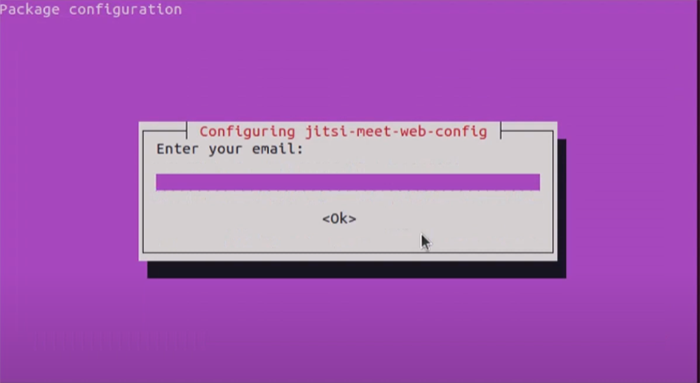 Enter your email address during Jitsi installation on Ubuntu