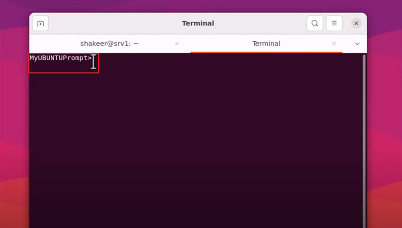 check the shell prompt in ubuntu vps