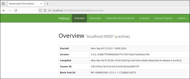 Access the Hadoop Web Interface