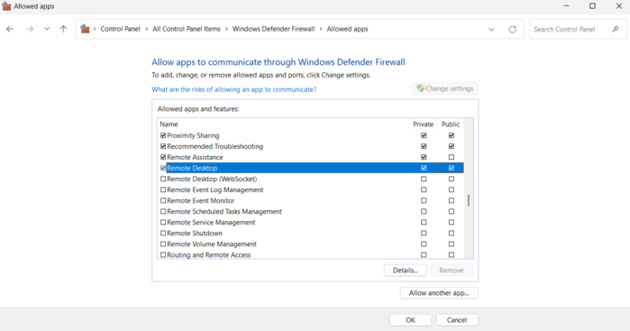 Check RDP Options