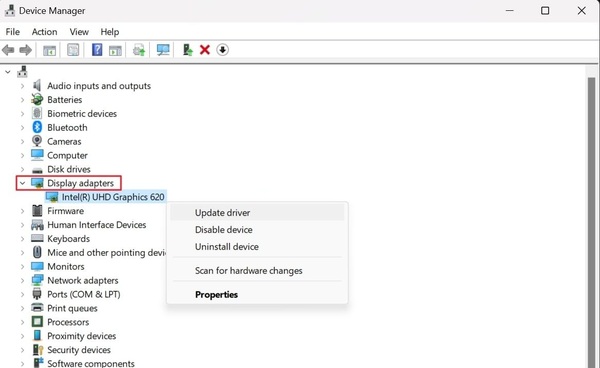 Locate Display Adapters